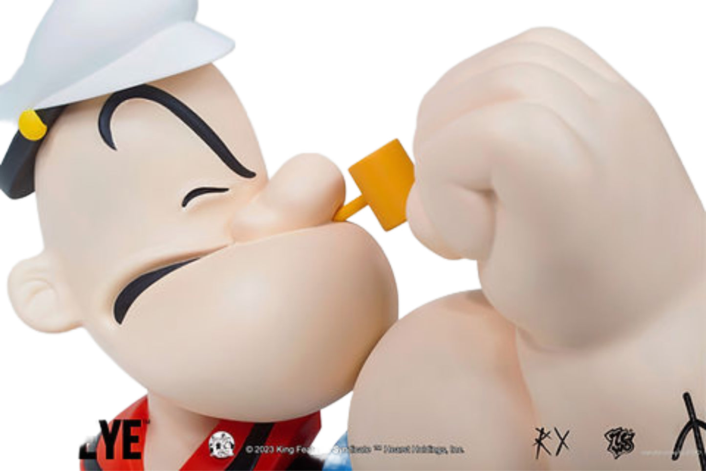 ZCWO Popeye Anatomy