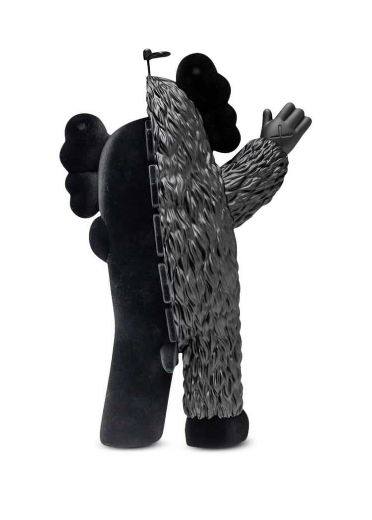 Kaws Kachamukku