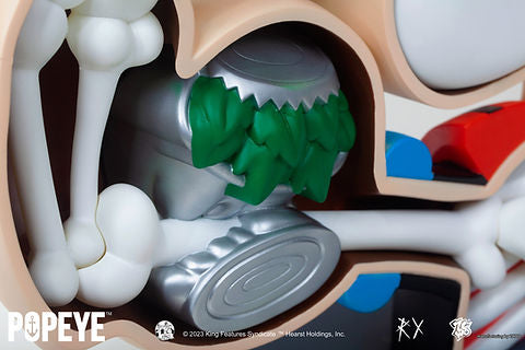ZCWO Popeye Anatomy