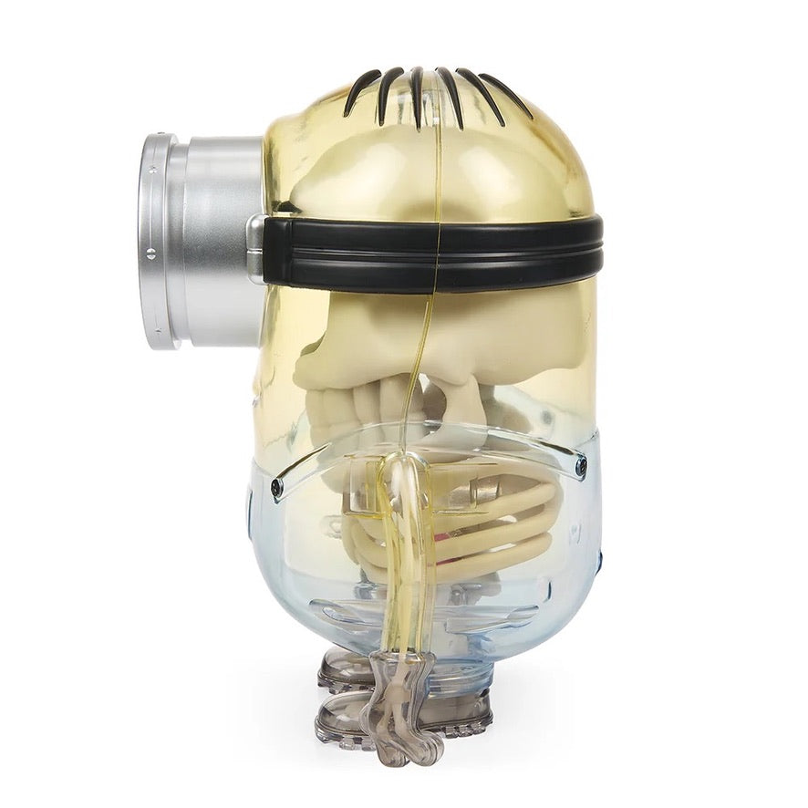 Minions Anatomy 8"