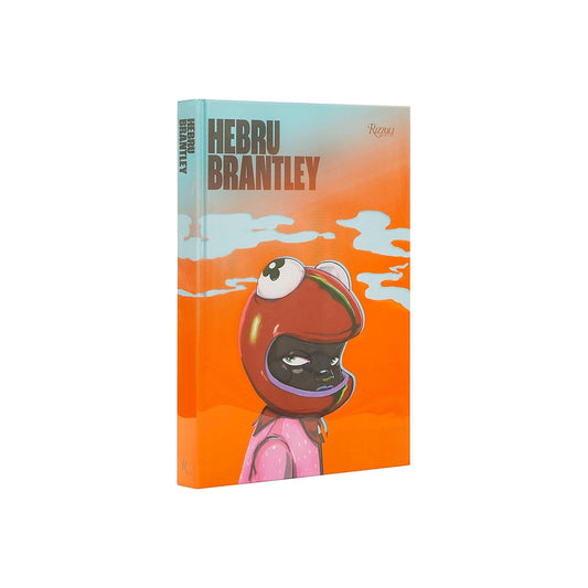 Hebru Brantley Book