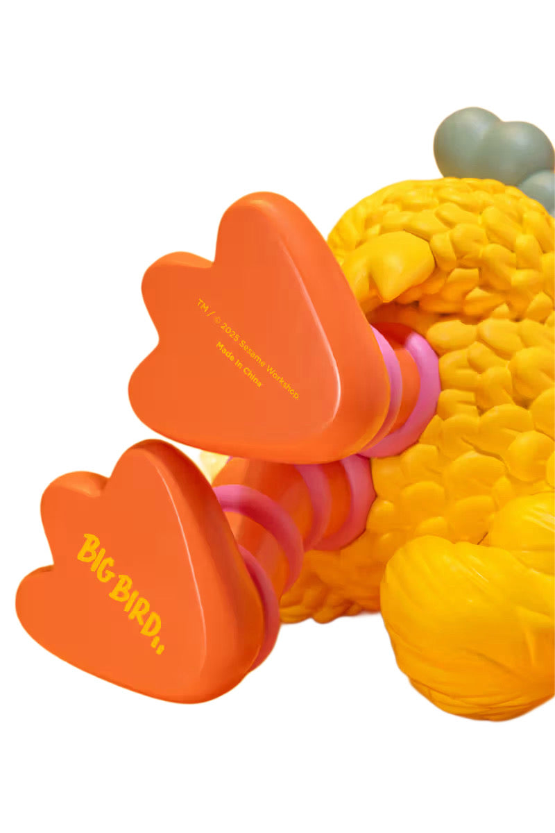 KAWS x Big Bird
